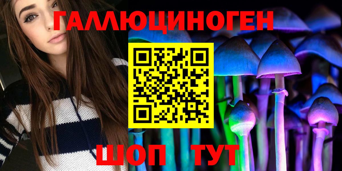 Артёмовский  Псилоцибиновые грибы прущие грибы  Псилоцибиновые грибы Cubensis  Вход с VPN 